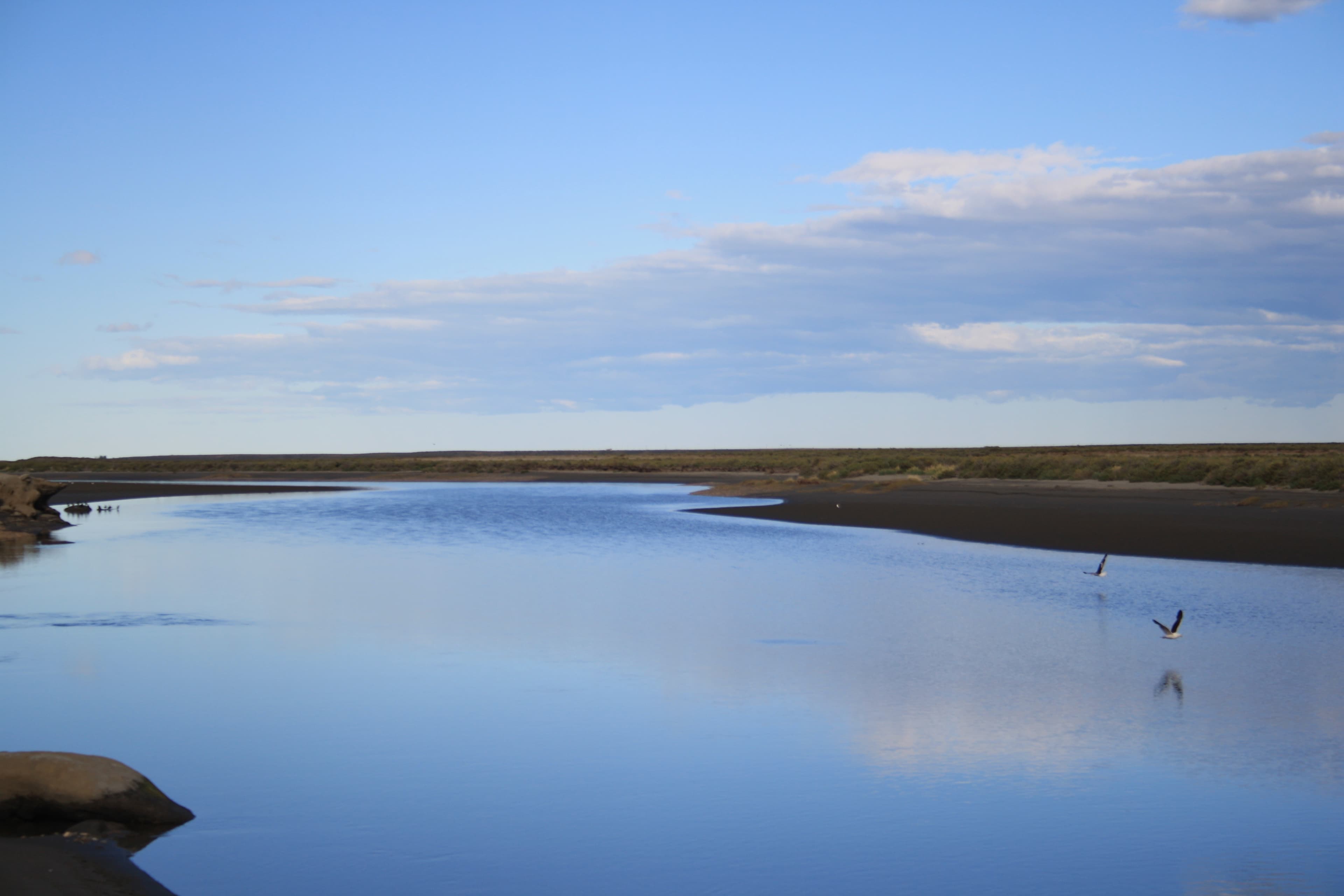 Sabiana Salamone Y Psc N H16 Arg   Argentina   Storie (45)