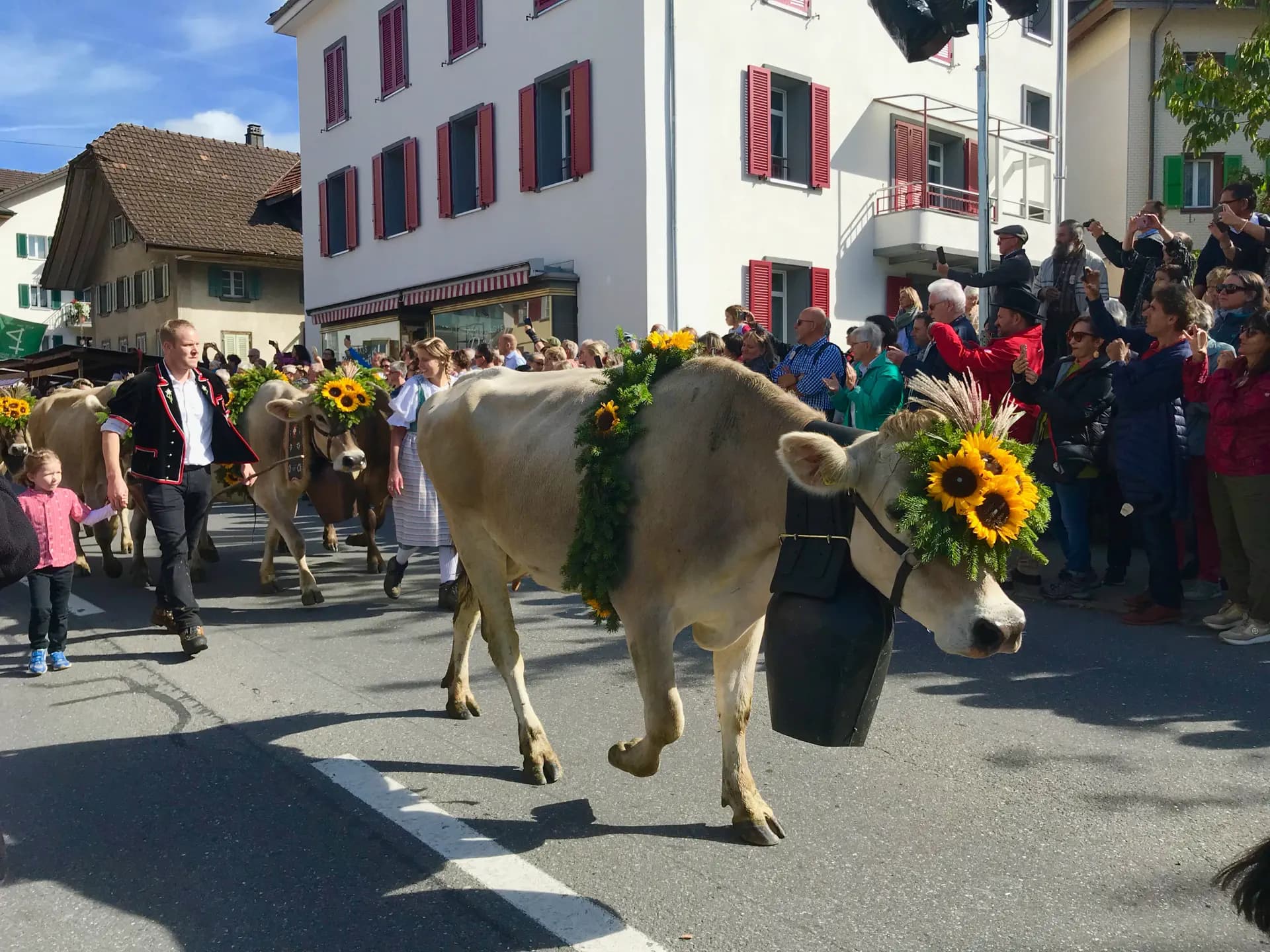 Elisabetta Zilli Y Psc Nh 2019 Sui Svizzera Animale Festa Pg Paese Orizzontale (1)