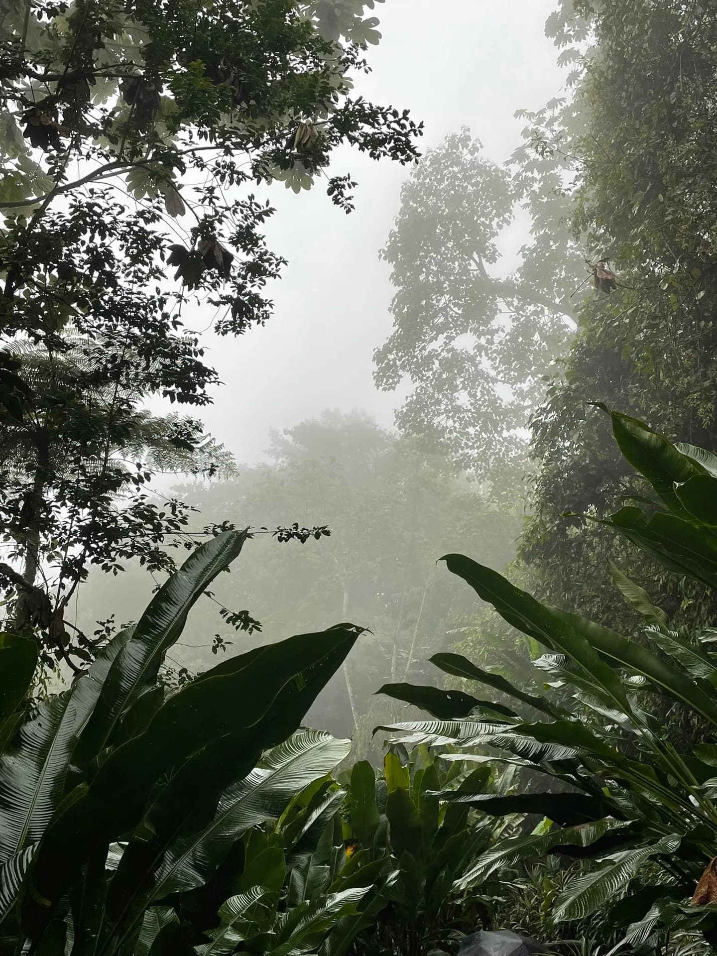 Giada Centenaro_SMscNH22_CRC_Costarica_Storie (5)