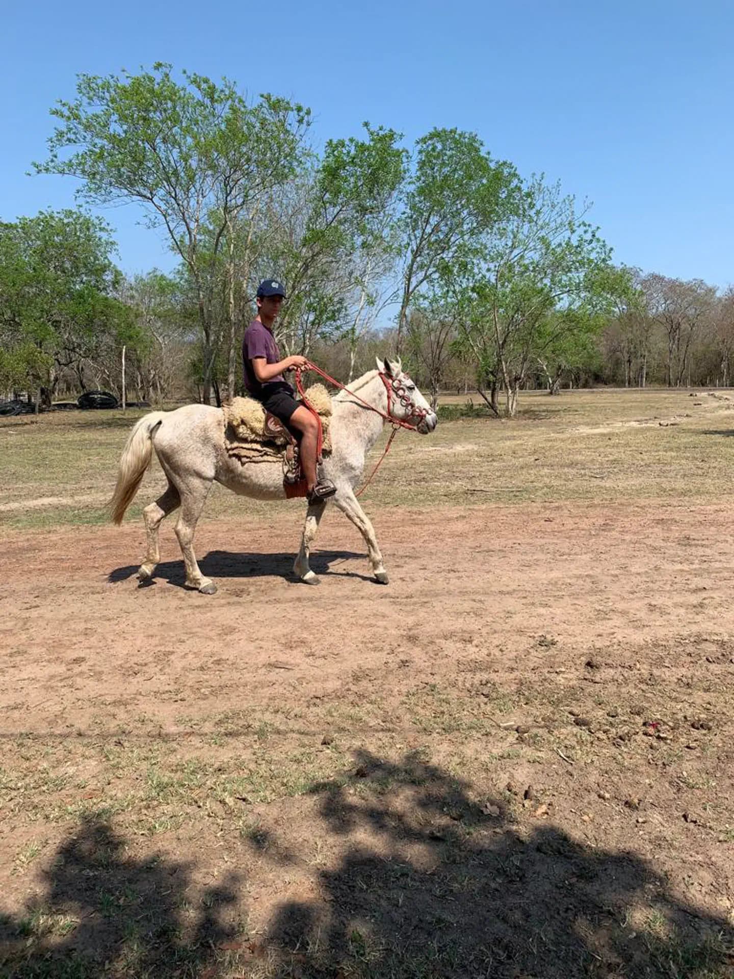 Giacomo Parodi Y Psc Nh 2019 Par   Paraguay   Animale    Pag Programma   Verticale (1)