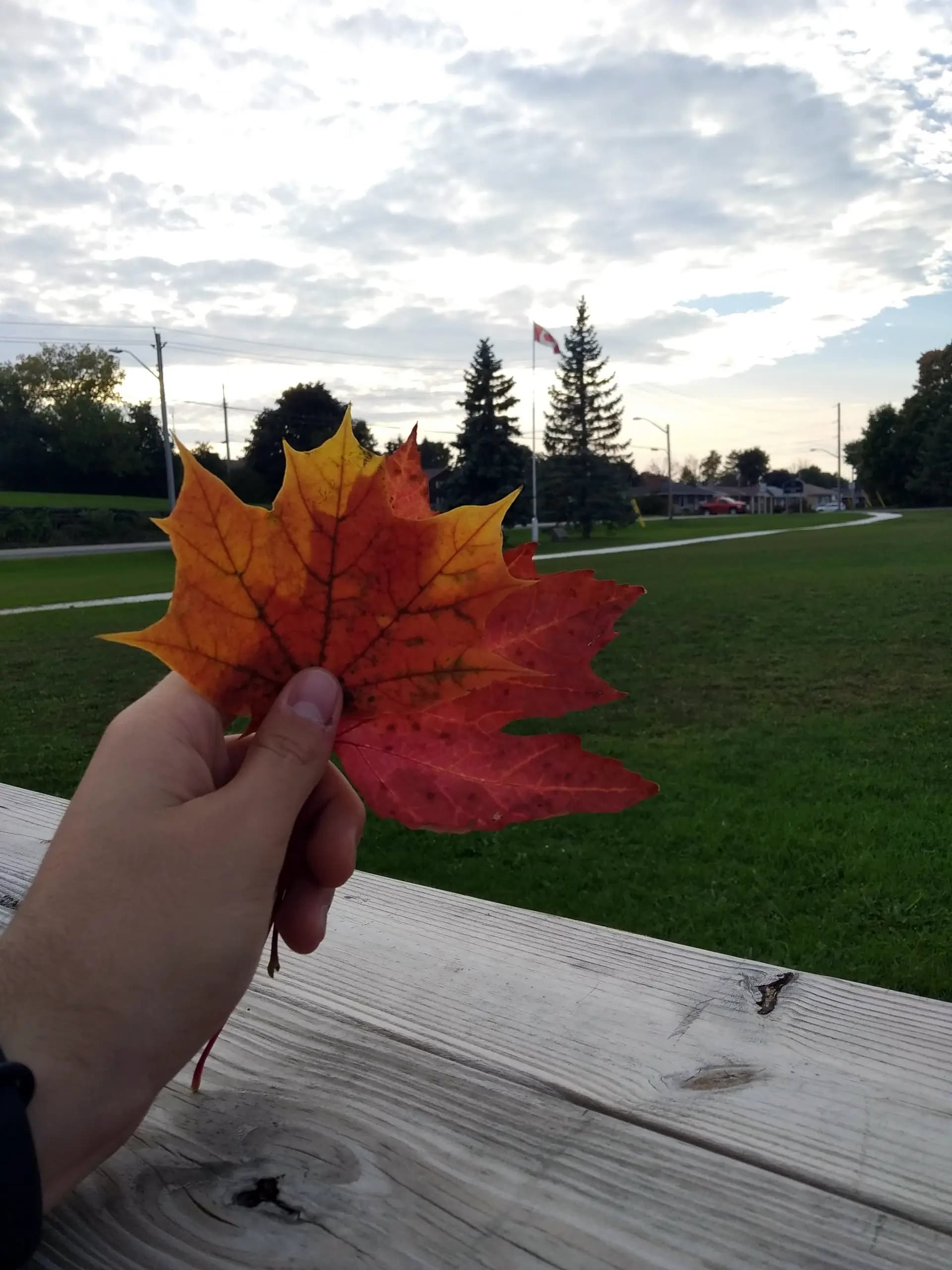 Matteo Pistochini T Rsw Can 19 Canada Anglofono Paesaggio Pag Paese Verticale
