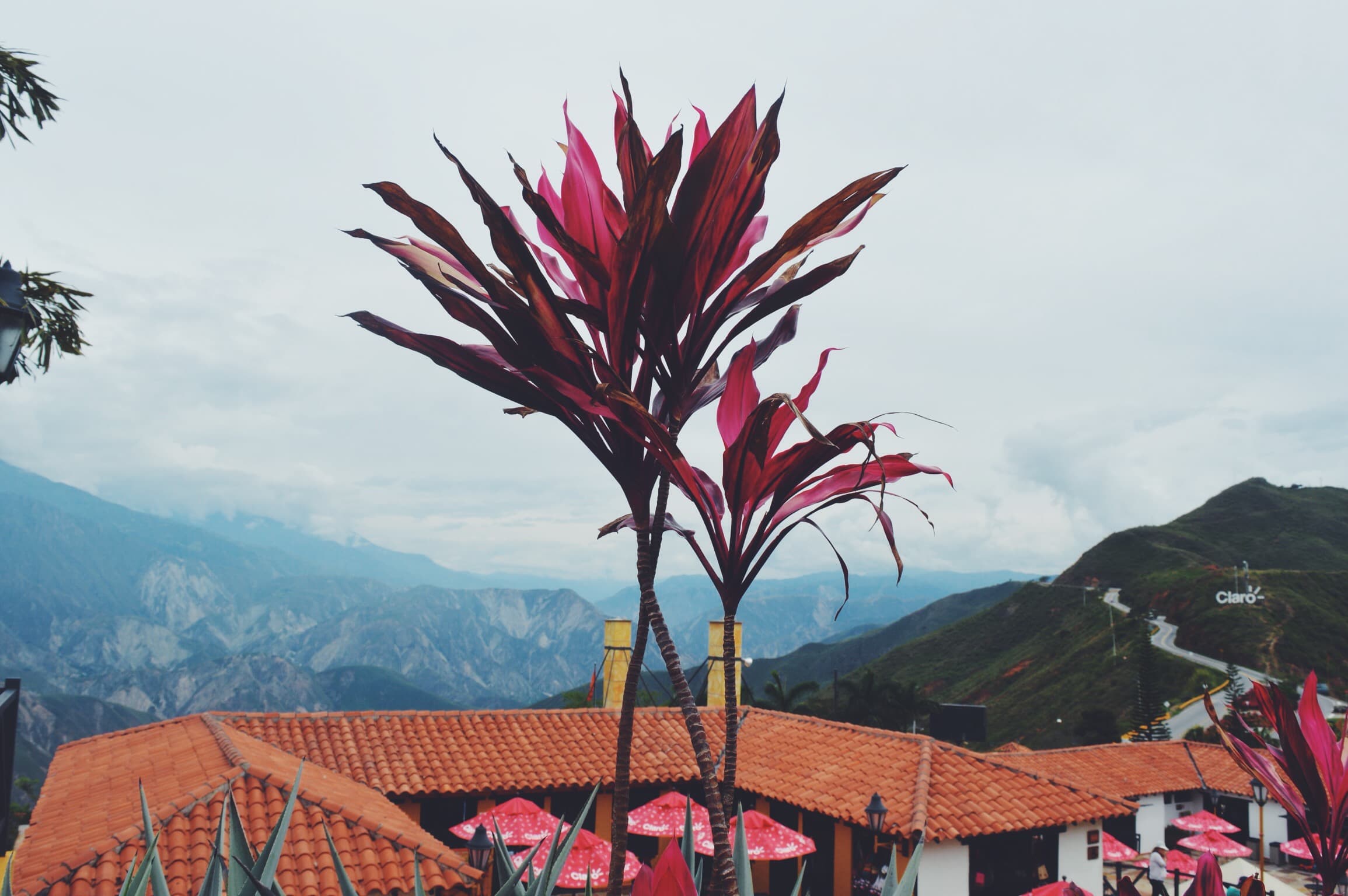 Processed with VSCO with f2 preset