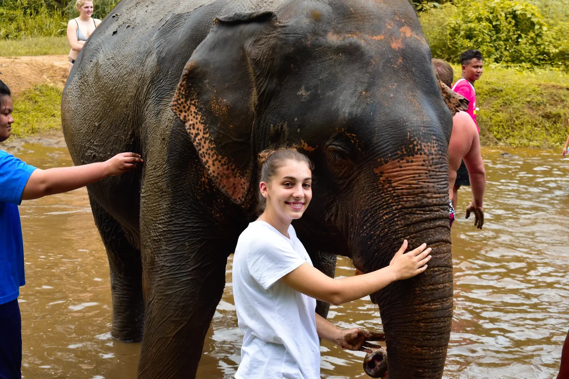 Anna Scuccimarra Y Psc N H19 Tha   Thailandia   Studentessa   Animale   Pag Programma   Orizzontale (1)