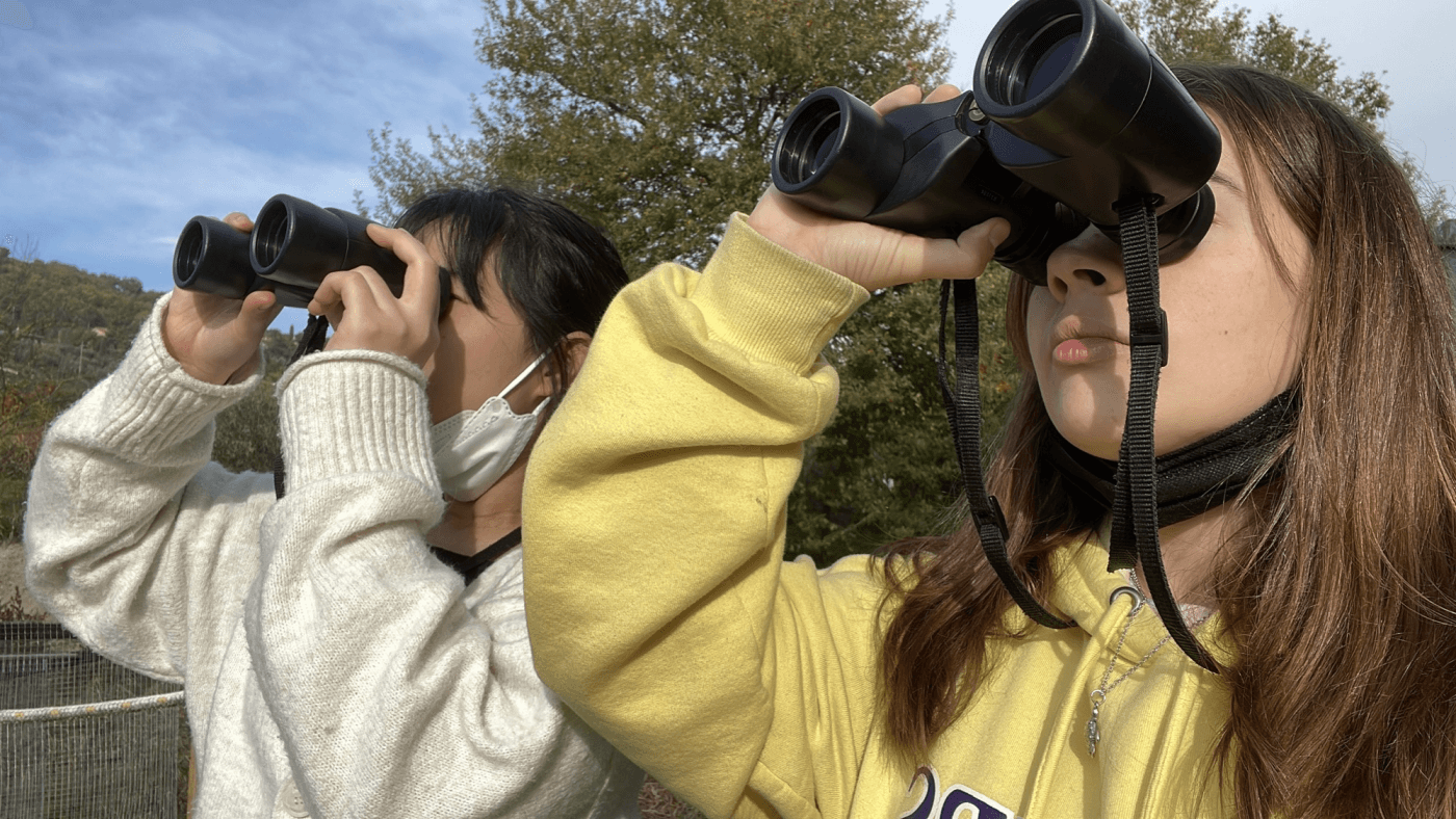 viaggio-studio-estero-in-famiglia-o-college
