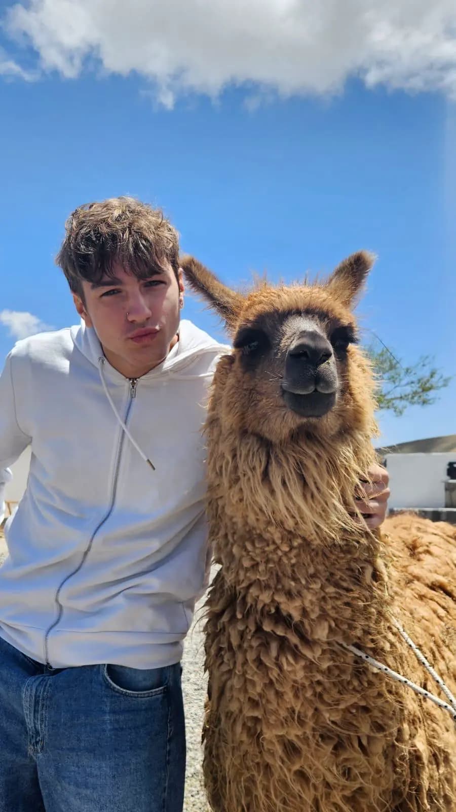 Federico Latini Yp Arg 2024 25 Cl Pavia Argentina Studente Animale Primo Piano Esterna Pag Paese Verticale Web