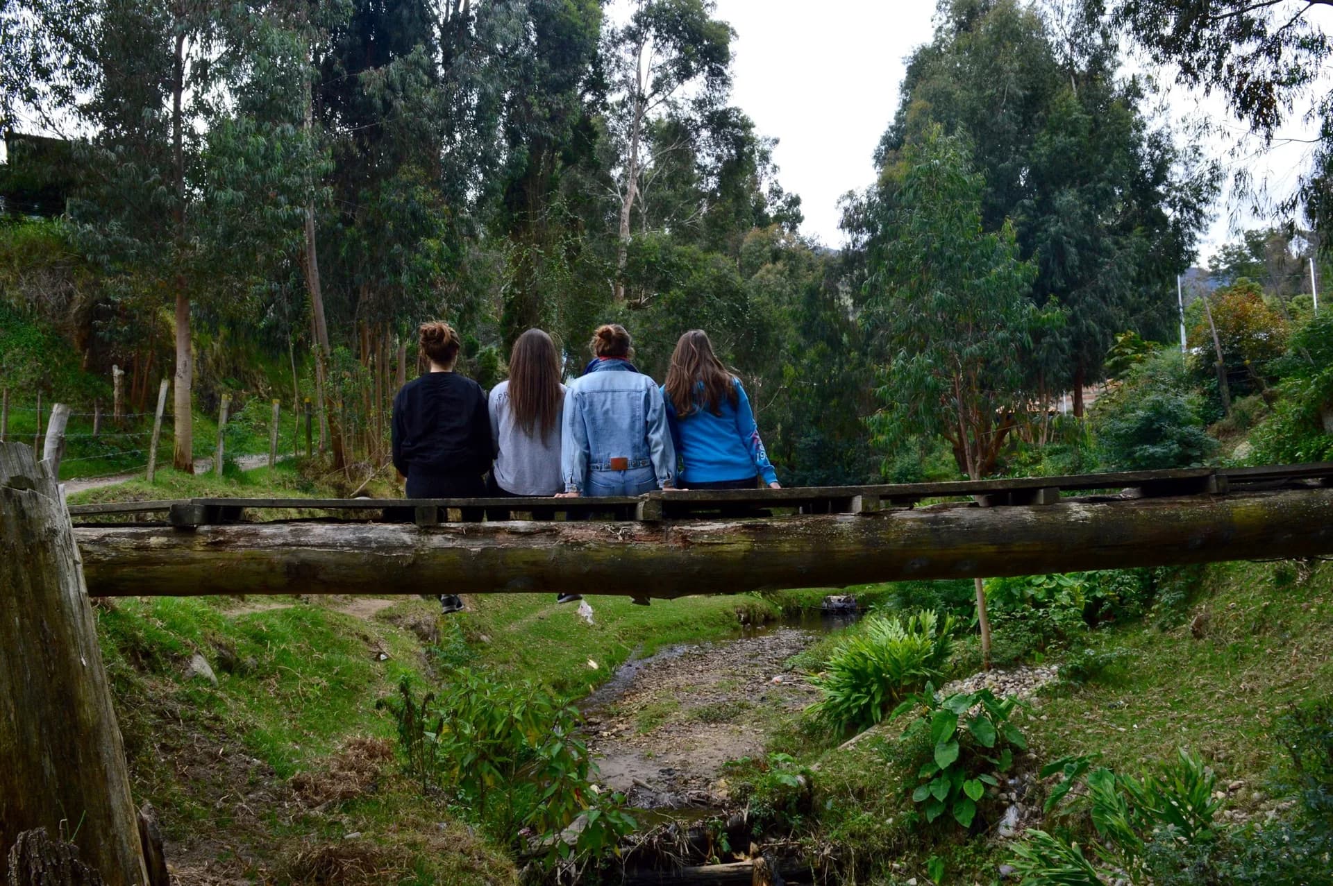 Sofia Ceppari _YPscNH16_Colombia_Storie (1)