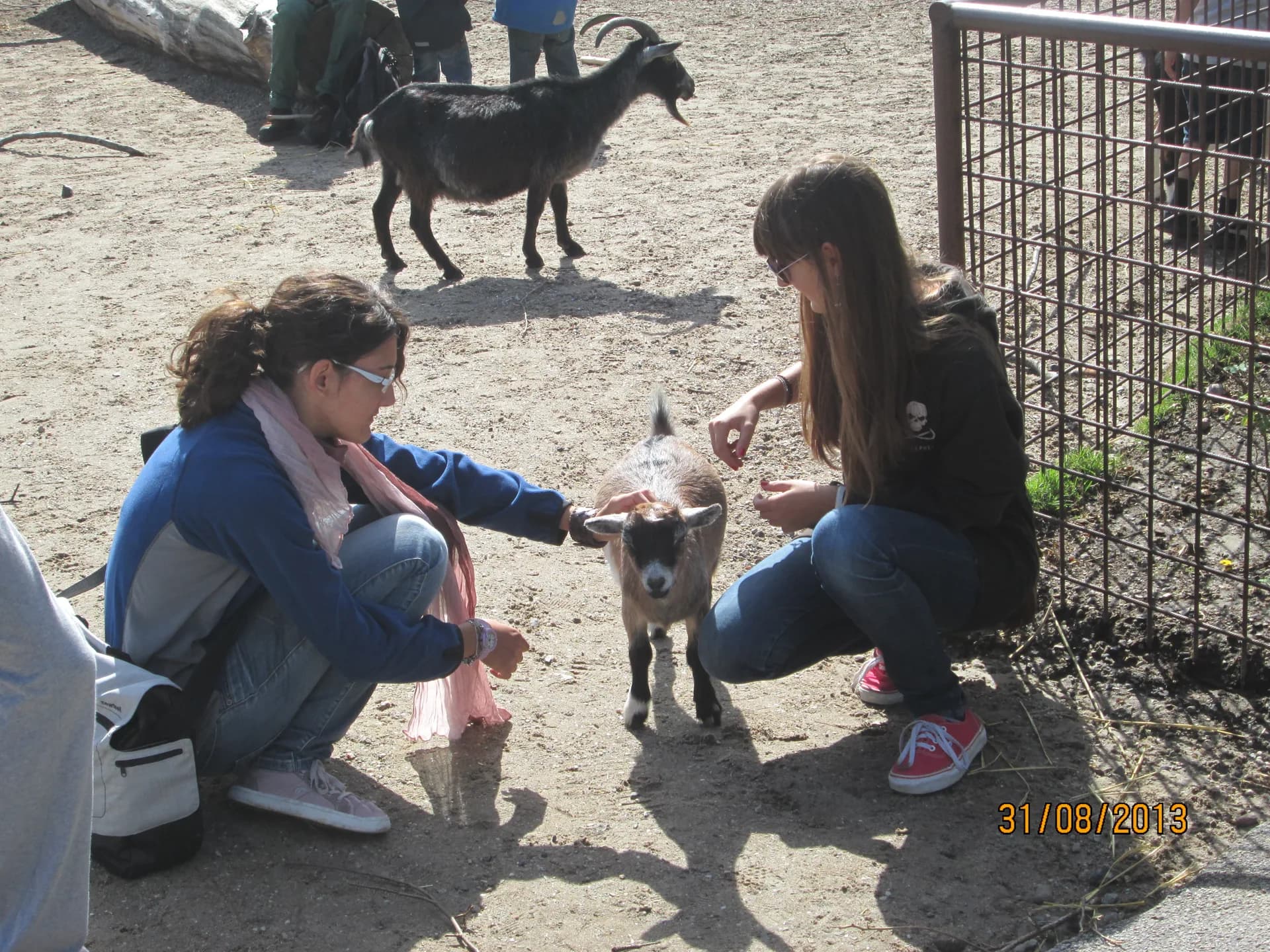 Enrica Calò VSscNH13_Danimarca_Storie (20)