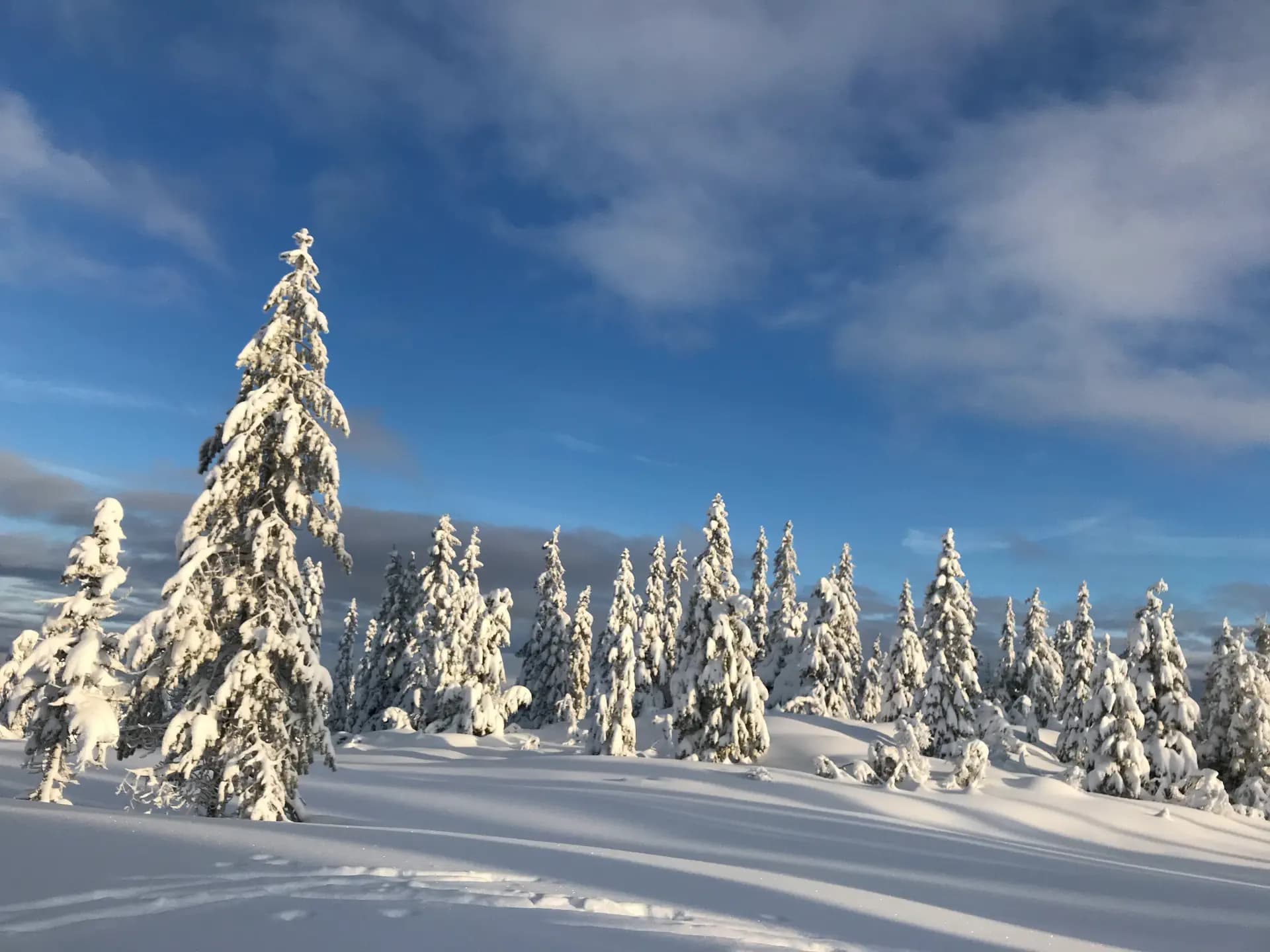 Giulia Barin Y Psc Nh 2020 Norvegia Neve Paesaggio Pag Paese Orizzontale (2)