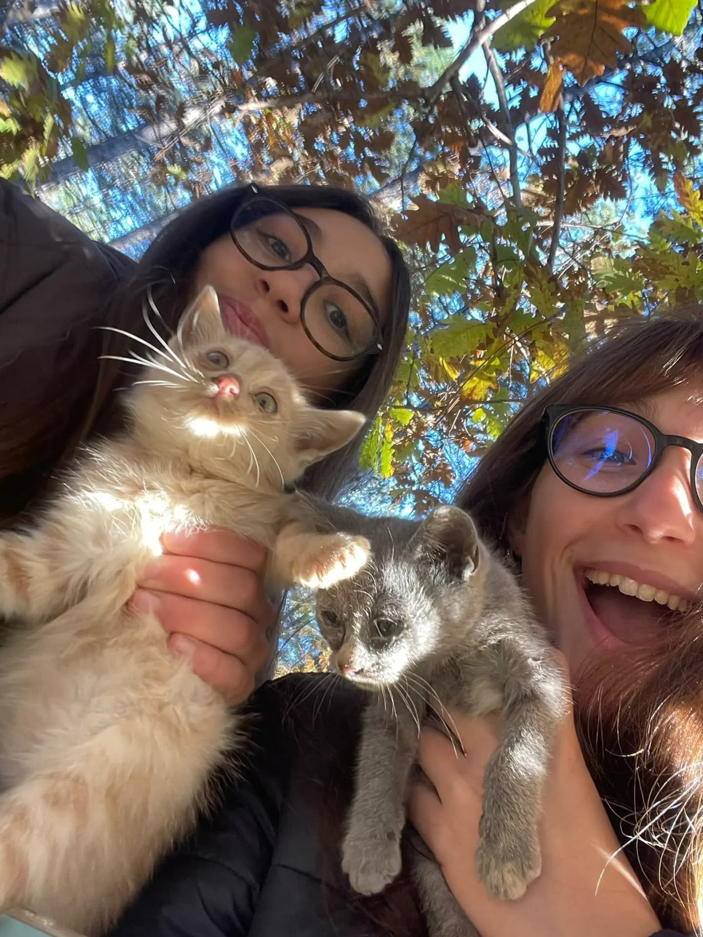 Nikol Plugov Yp 2025 Tur Cl Roma Ovest Turchia Studentessa Animale Selfie Pag Programma Verticale (1)