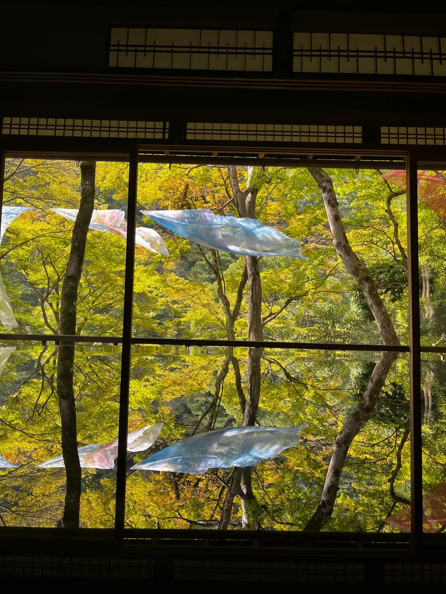 Adele Galeazzi_SM2023_JPN_Giappone_Storie (4)