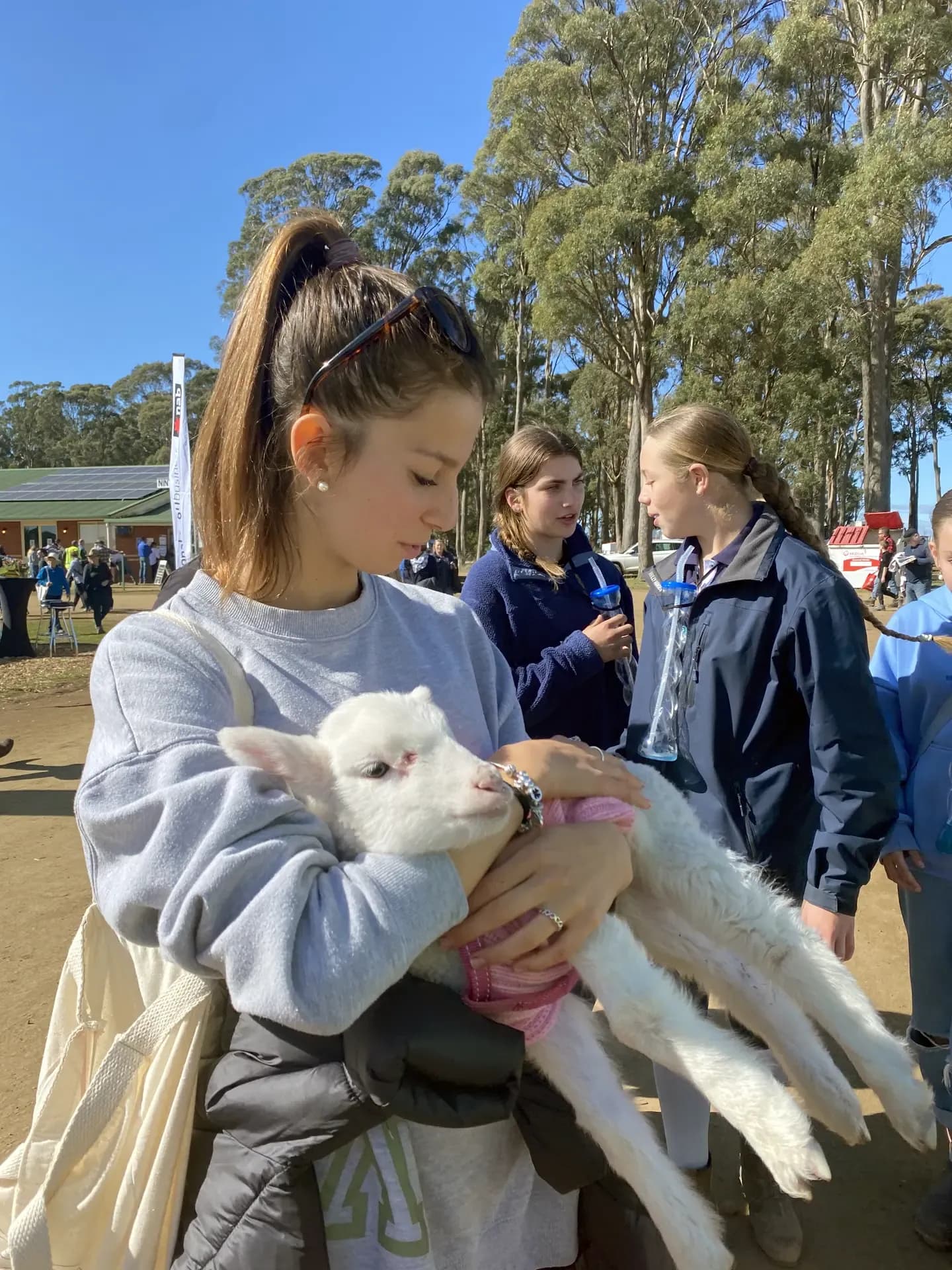 Teresa Barsanti S Msw N H22 Get Australia Studentssa Primo Piano Animale Pag Programma Verticale