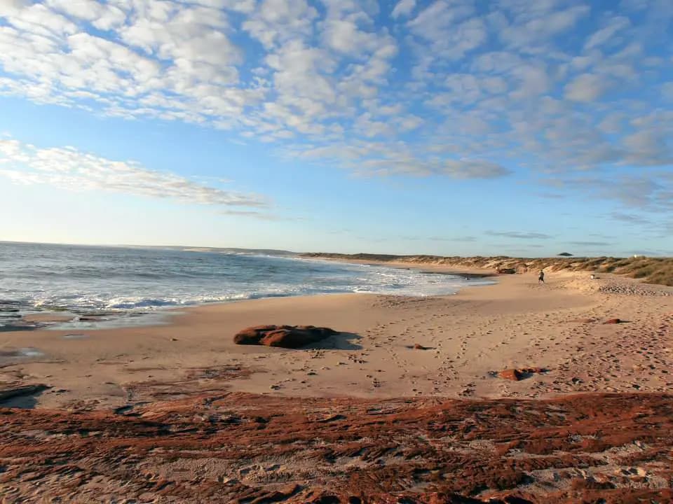 Eleonora Sica Ipwaa 14 Australia Paesaggio Spiaggia Pag Paese Orizzontale