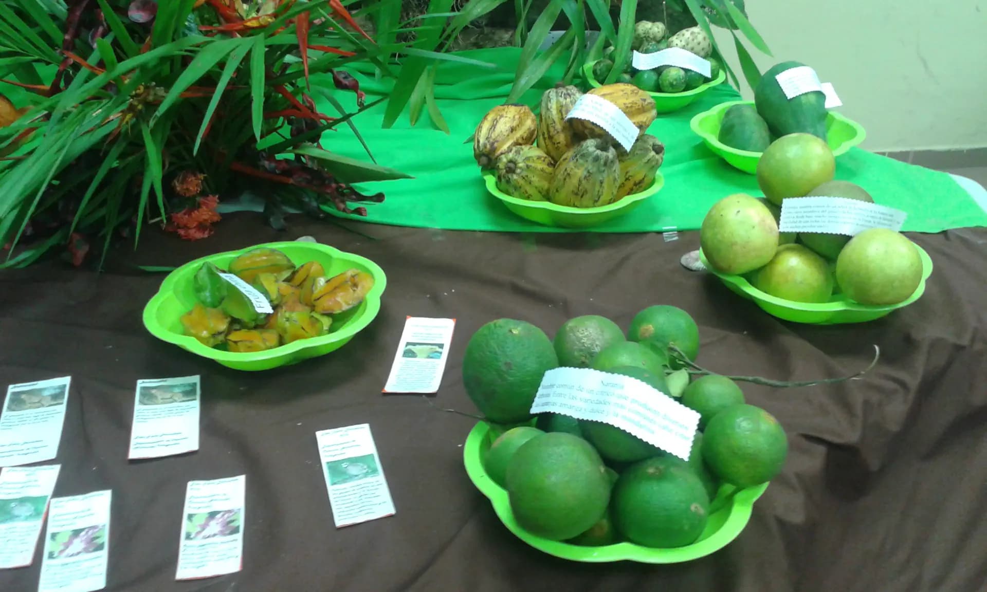 Avana Amadei Y Psc Nh 2015 Pan Cibo Pag Paese Orizzontale (2)