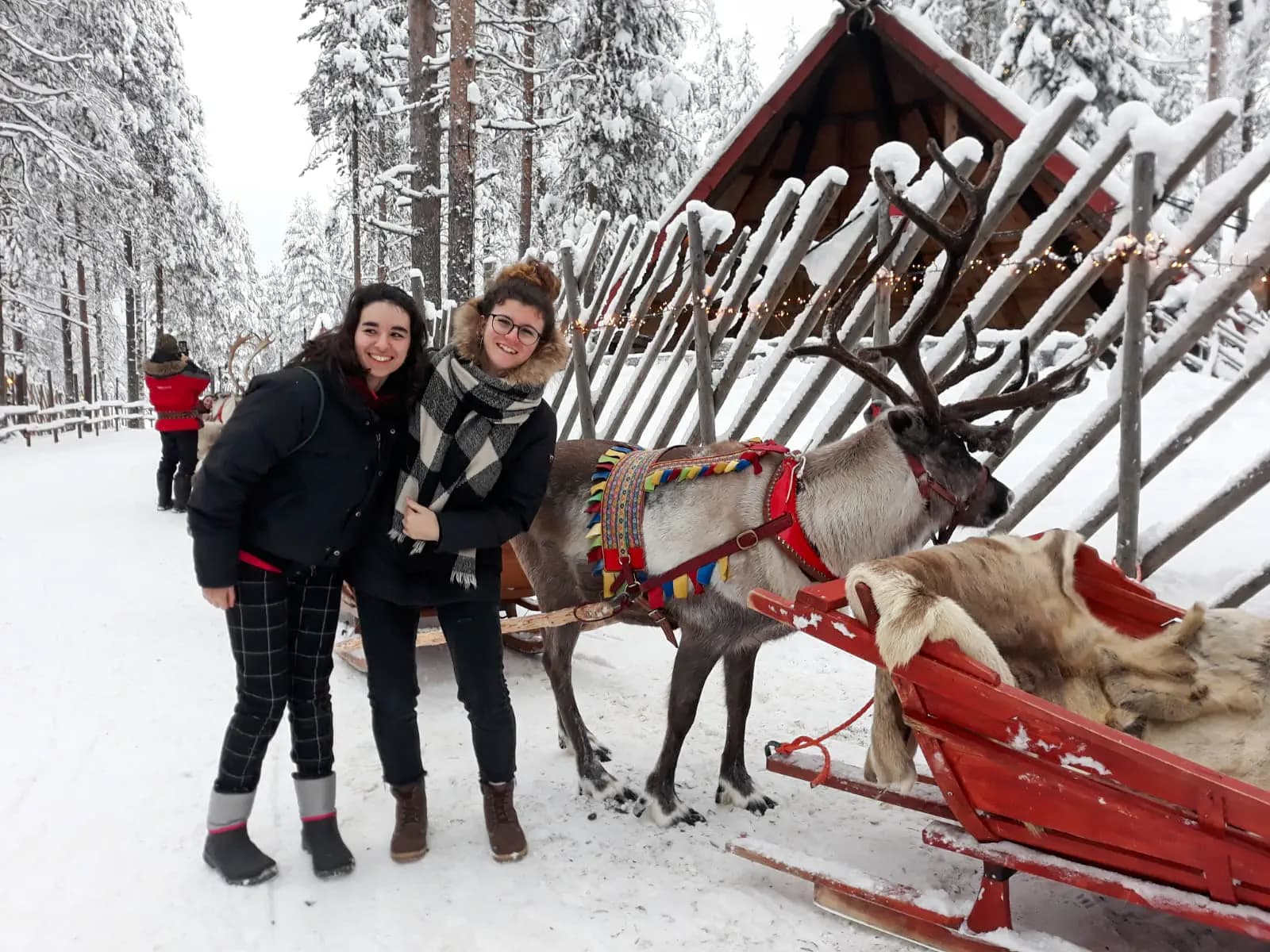 Vittoria Mezzalira S Msc Nh 2019 Fin Finlandia Studentessa Animali Neve Paesaggio Pag Programma Orizzontale (2)