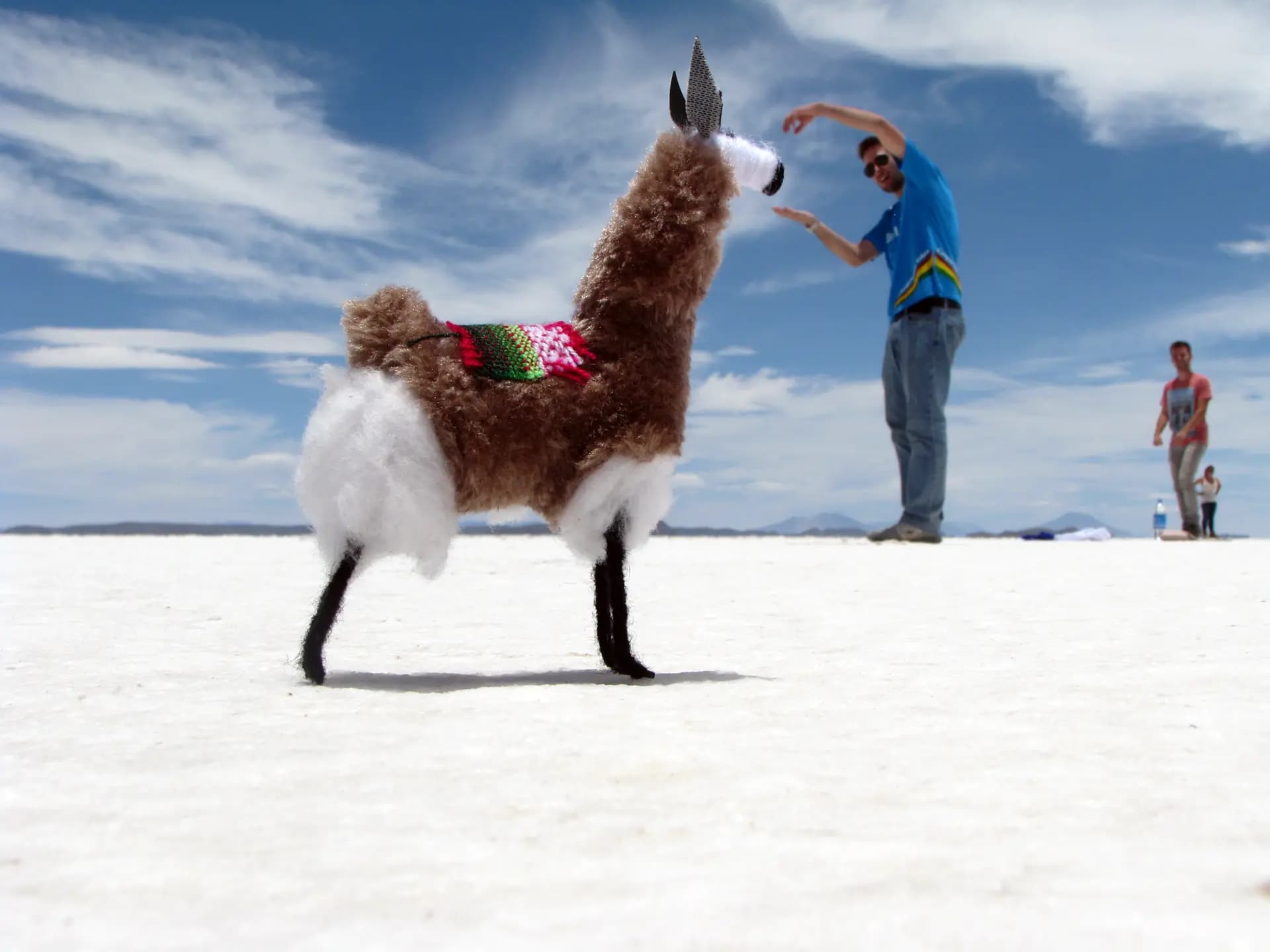 Giacomo Melli Y Psc N H15 Bol Bolivia Studente Animale Salares Paesaggio Pag Programma Orizzontale