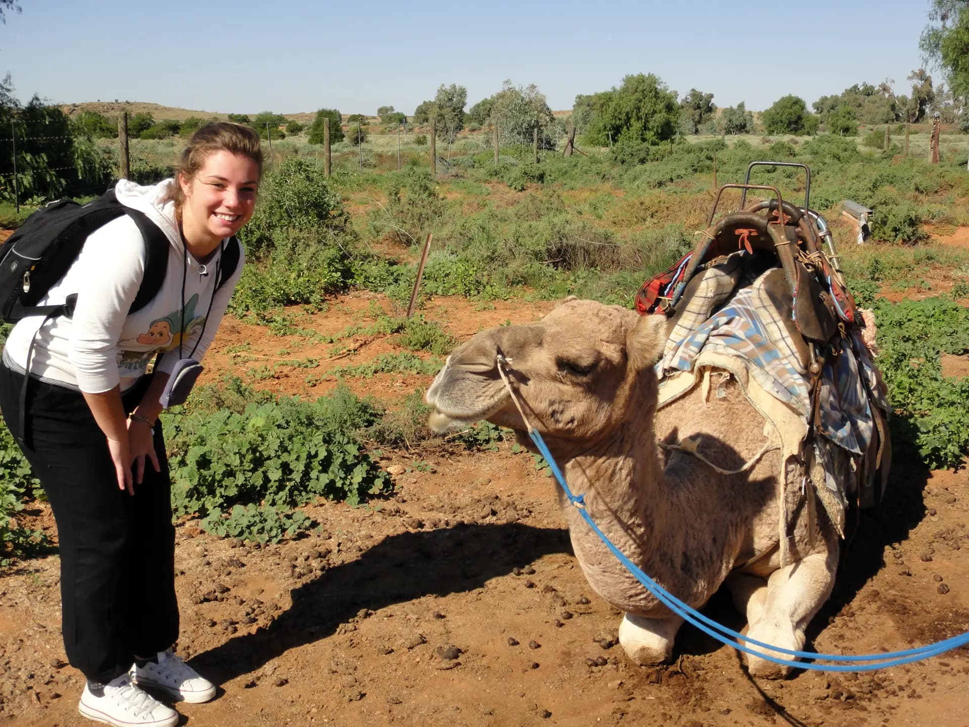 Ilaria Andria Y Psc N H10 Aus Australia Studentessa Animale Paesaggio Pag Programma Orizzontale