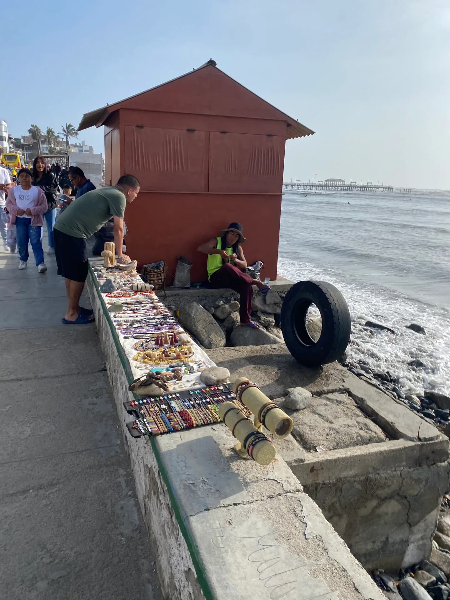 Alice Frigerio _SMscNH25_PER_Cl Bari Sud_Perù_Storie (5)