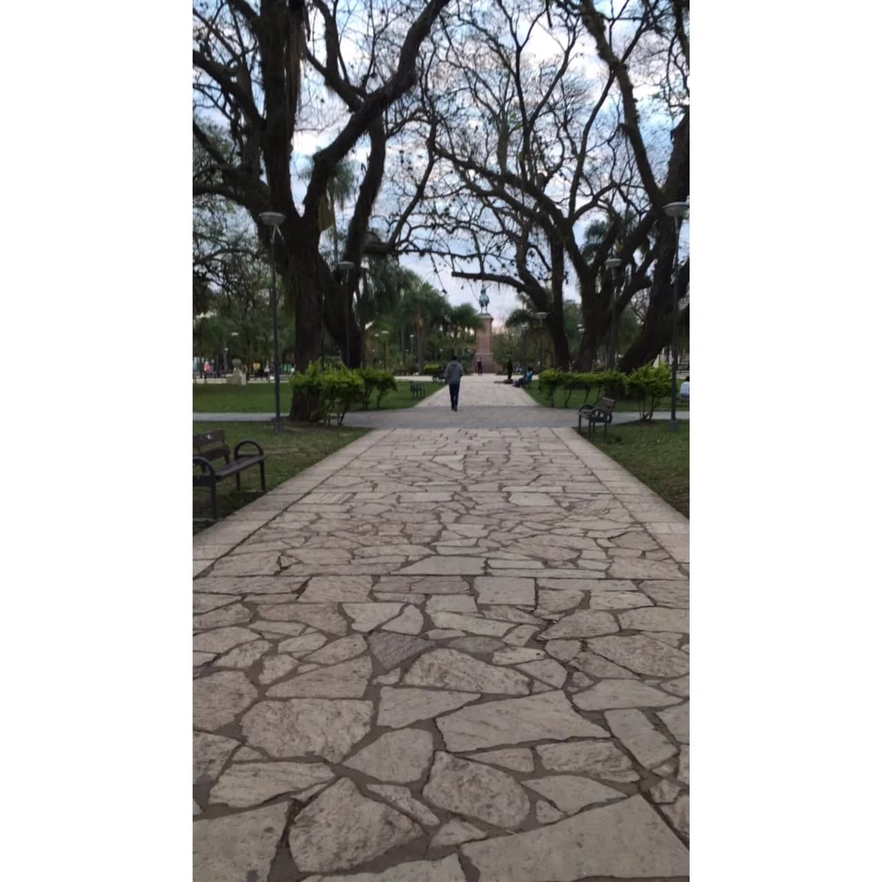 Leonardo Majocchi_SMscNH17_ARG - Argentina - Storie (5)